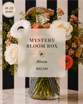 Bloom